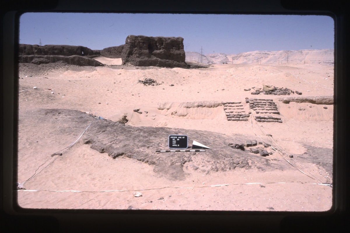 ARCE: Assessing Abydos: Excavating Bricks and Archives for Answers about Early Kingship