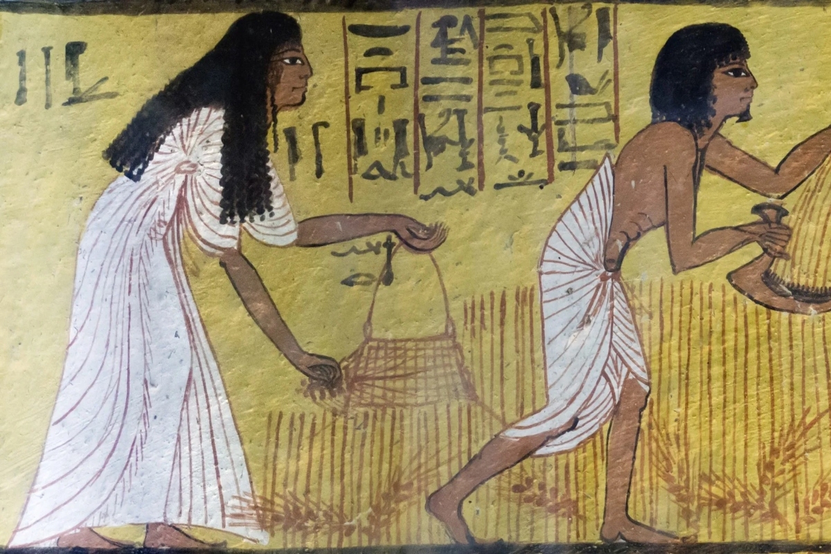 ARCE: Rethinking the Ancient Egyptian Afterlife with Dr. Rune Nyord | Lecture & Book Signing